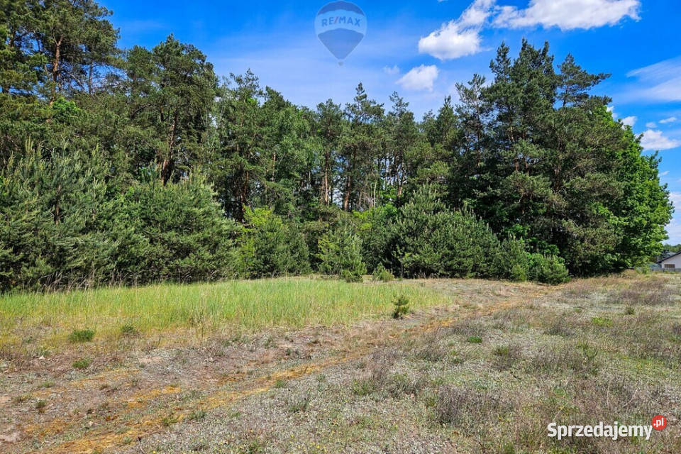 Działka budowlana 2630m2 z lasem budowlana Skierniewice