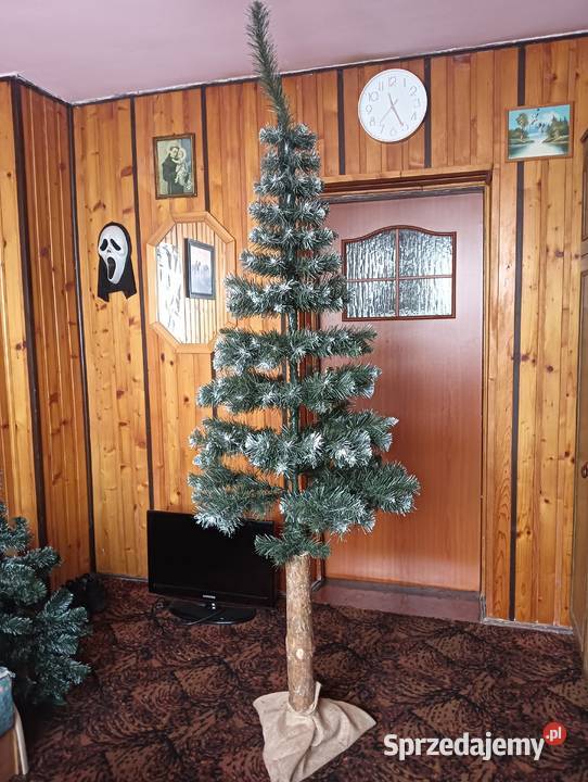Sprzedam choinkę na pniu z jutą szkłem i Łodygowice