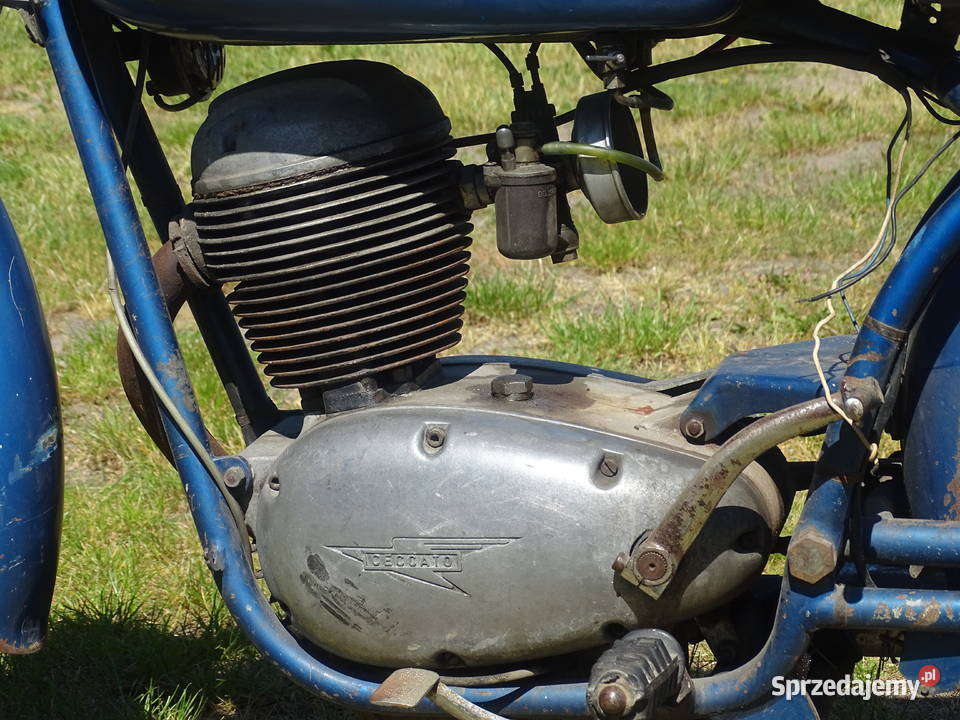 Ceccato 125 4T GTS sportowy Żyrardów