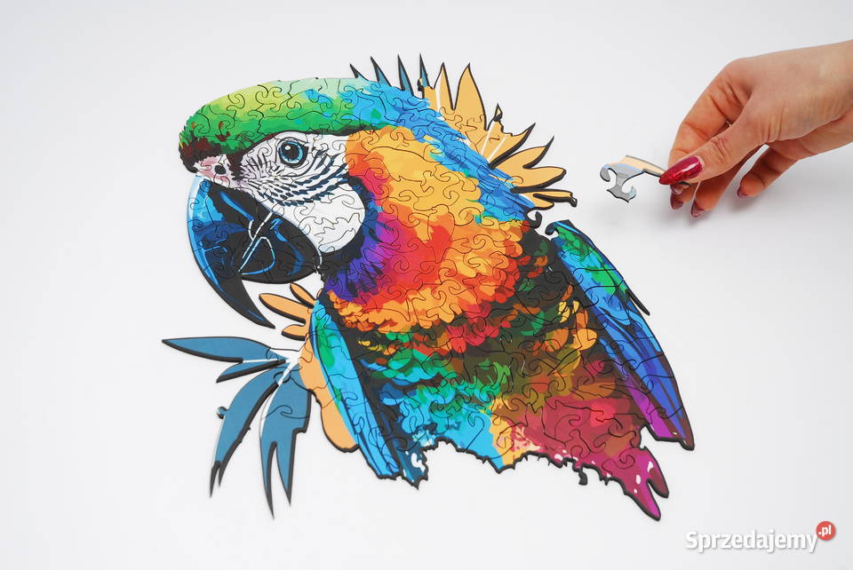 Puzzle Drewniane Premium EKO Układanka PAPUGA Łódź