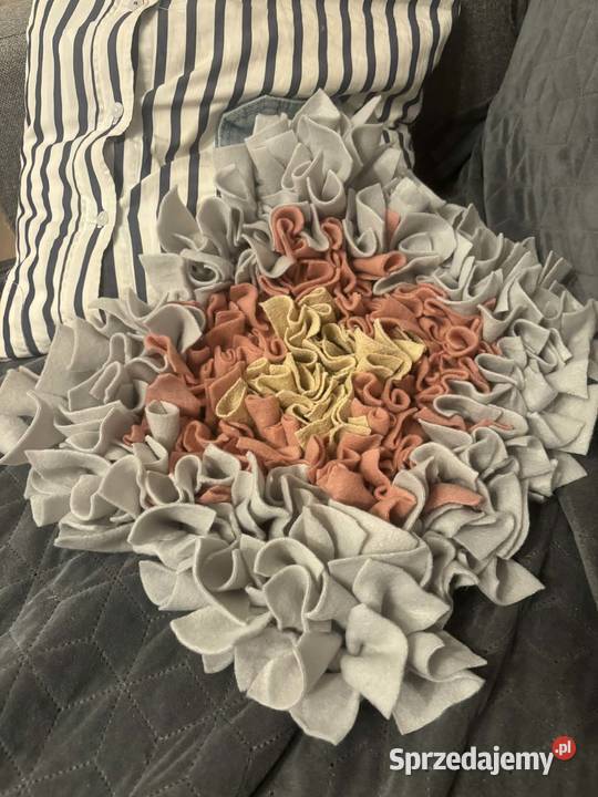 Mata węchowa prezent który merda ogonem pies kot śląskie Bielsko-Biała