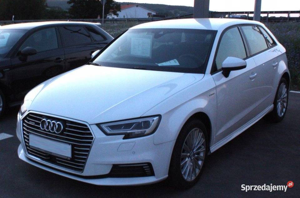 Drzwi Prawy Tył Audi A3 ETron Facelift 2018 osobowe Pleszew