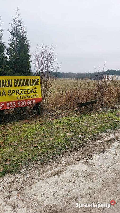 Sprzedam działki budowlane budowlana Krasocin