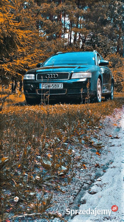 Audi A4 B6 nieuszkodzony lubelskie Kadłubiska sprzedam