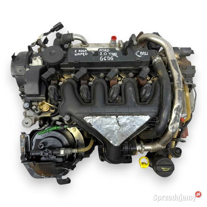 SILNIK G6DG Ford Kuga 20 TDCI 136 diesel Chełm sprzedam