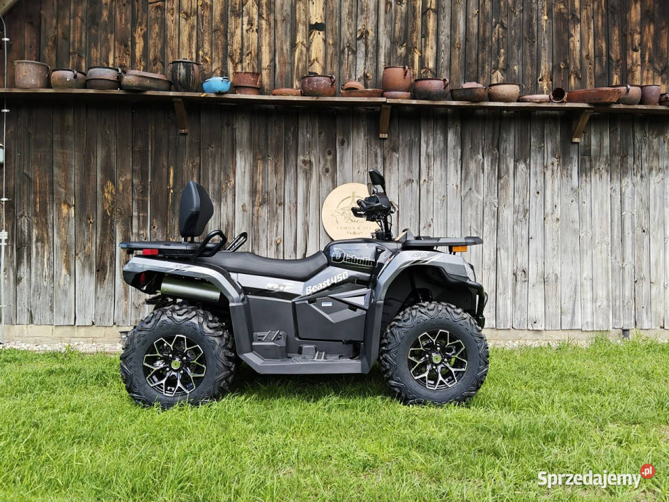 Diabolini Inny DIABOLINI BEAST 450 L Quad dużych wielkopolskie Bicz sprzedam