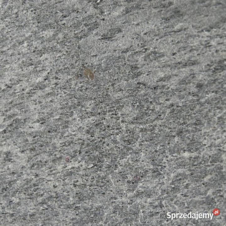 Fornir Kamienny Łupek Silver Shine tapeta 2MM wielkopolskie Poznań