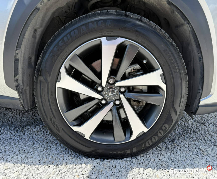 Lexus NX LED Podgrzewane wentylowane fotele kujawsko-pomorskie Bydgoszcz