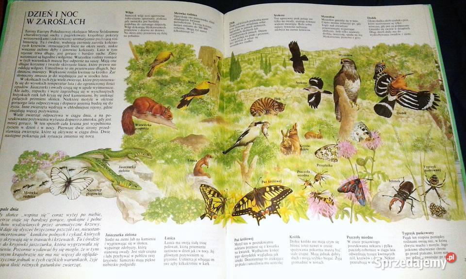 W świecie zwierząt John Feltwell lubelskie Chełm