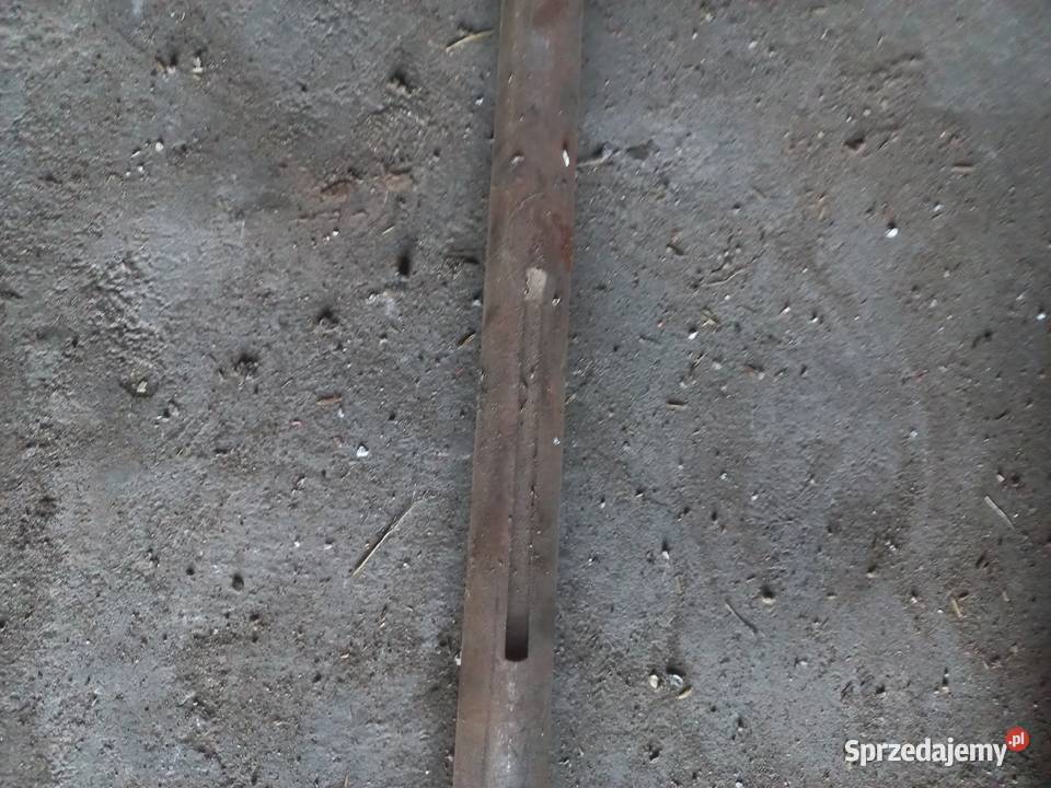 Wał przenosnika pochylego bizon Wypychów