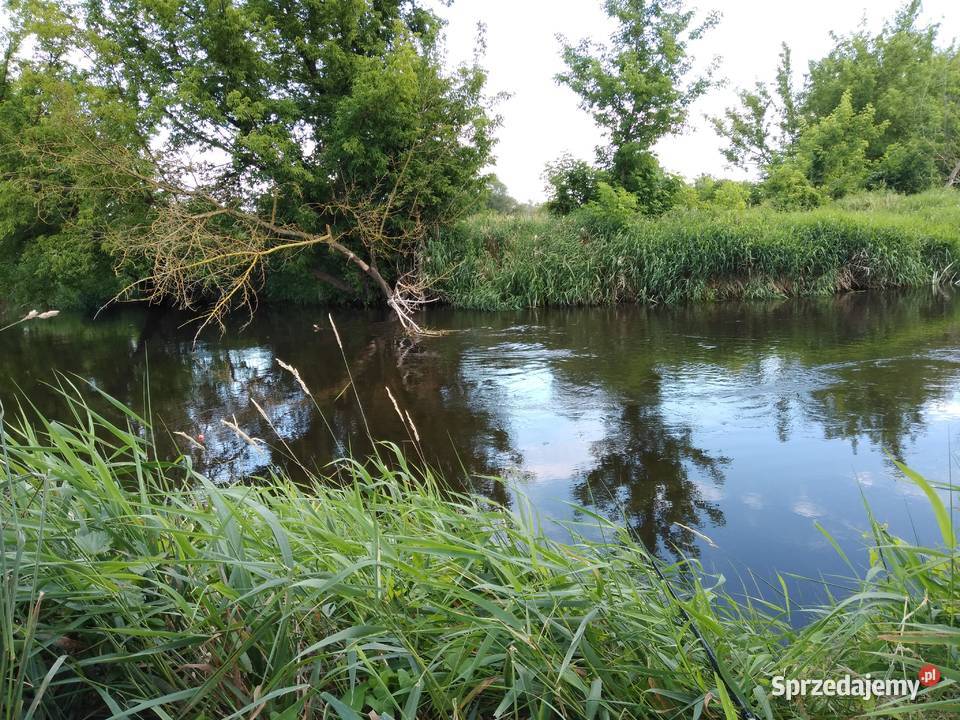 Dom z działką do sprzedania Przeradowo