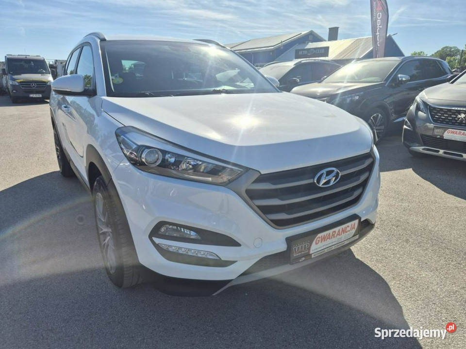 Hyundai Tucson III 17CRDI 115 Bezwypadkowy Ładny Gniewkowo