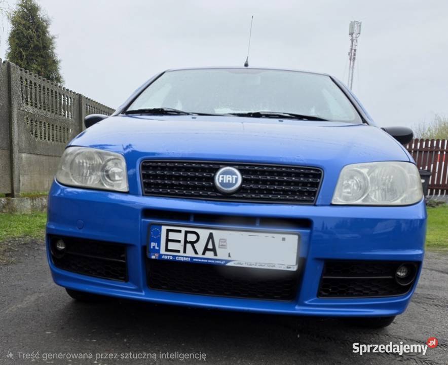 Fiat Punto Fiat Radomsko