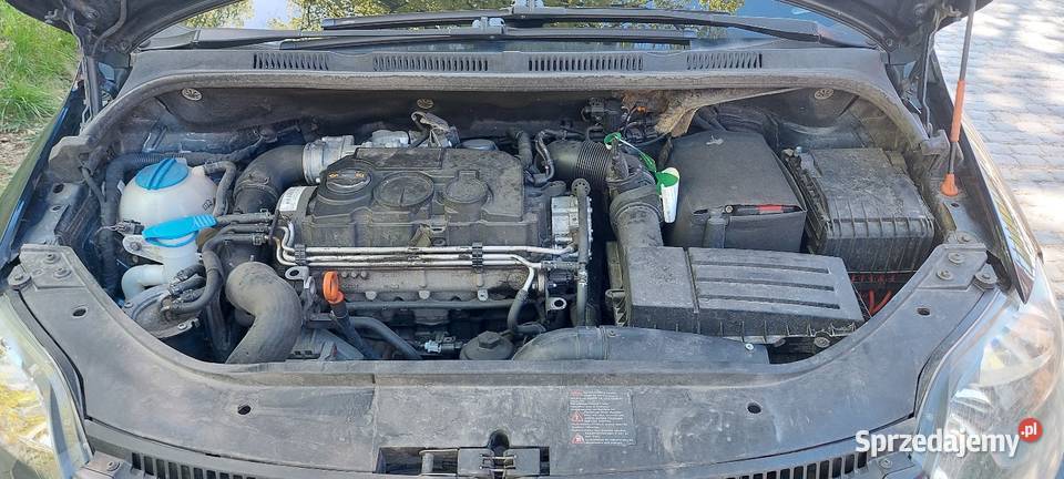 Volkswagen Golf V Plus 1 9 TDI manualna Żłobizna