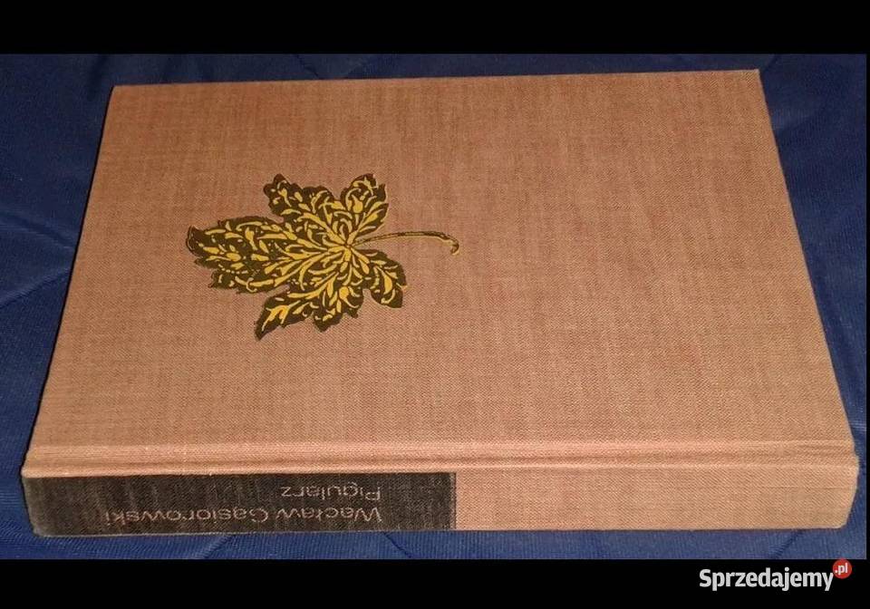 Pigularz Wacław Gąsiorowski lubelskie Chełm