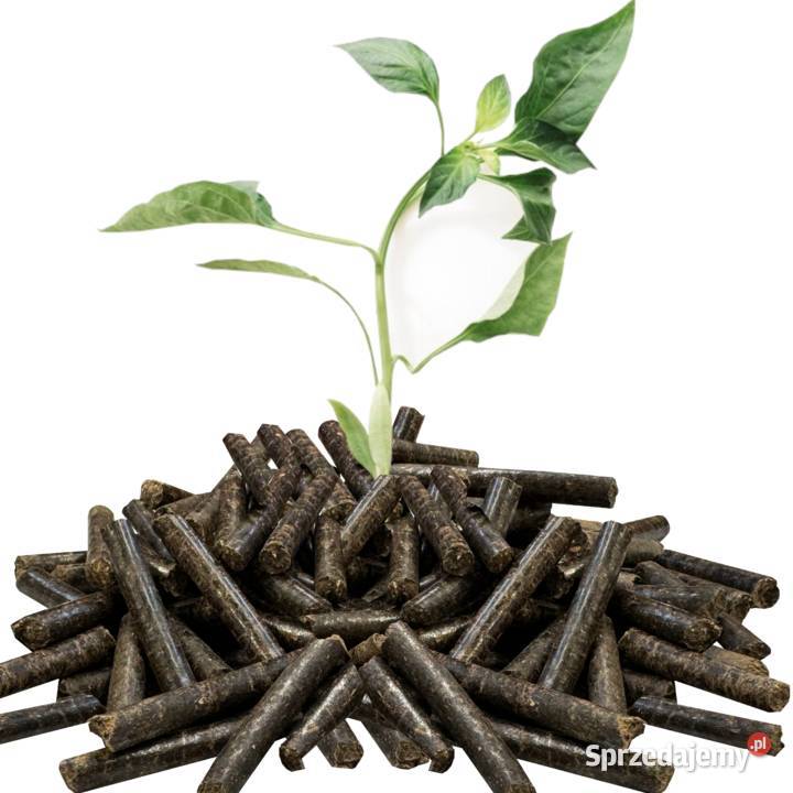 15 Pellet Pelet Opałowy drzewny Ekologiczny Bio