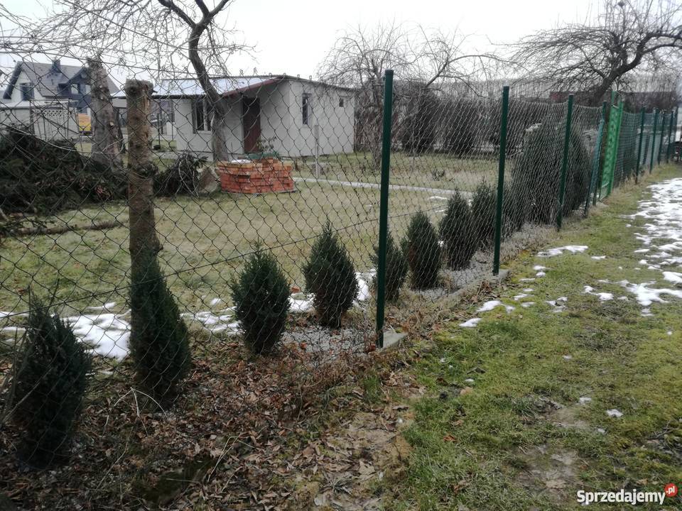 Ogródek działkowy ROD Wiśnia śląskie Ruda Śląska