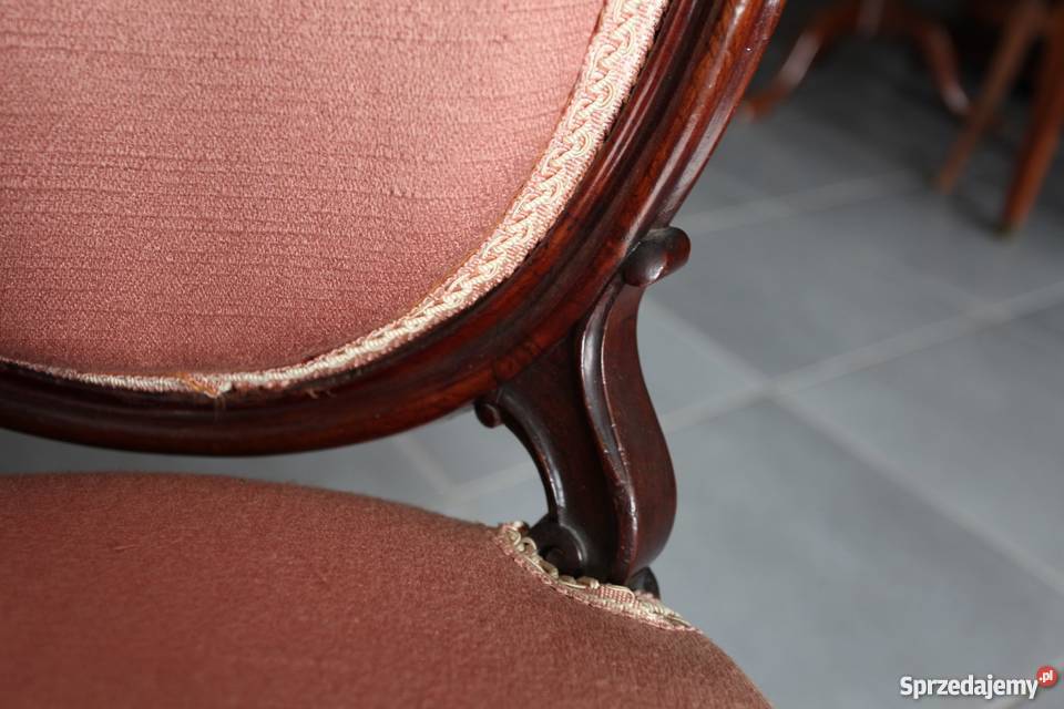 Dwa krzesła ludwikowskie Antyki 0297 Nieżywięć