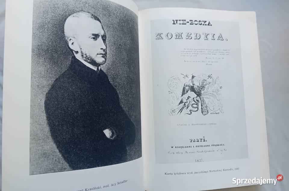 Julian Krzyżanowski Dzieje literatury polskiej Antykwariat