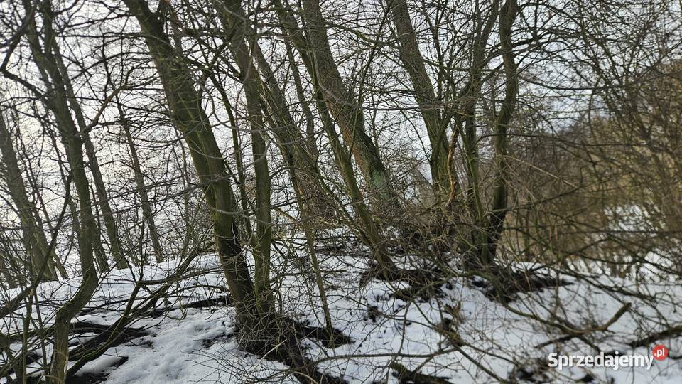 Działka w Jakubowicach Konińskich