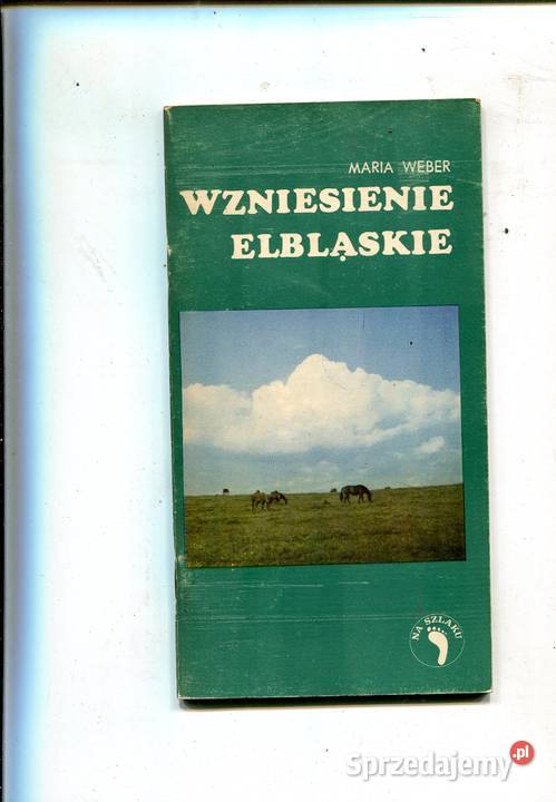 Wzniesienie Elbląskie Szczecin