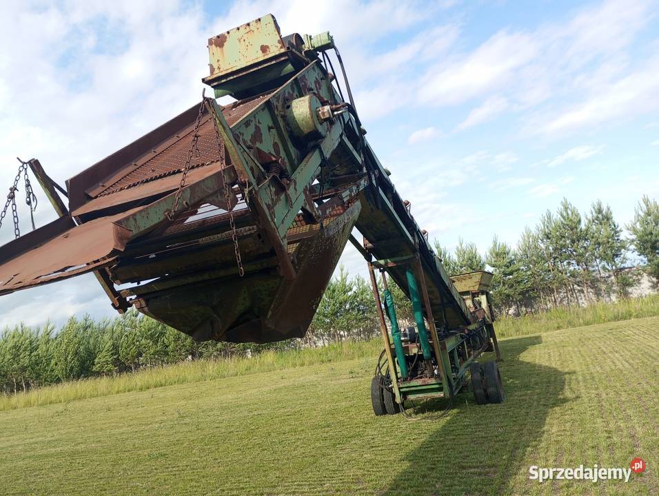 Przesiewaczy Rok produkcji 1900 Buk sprzedam
