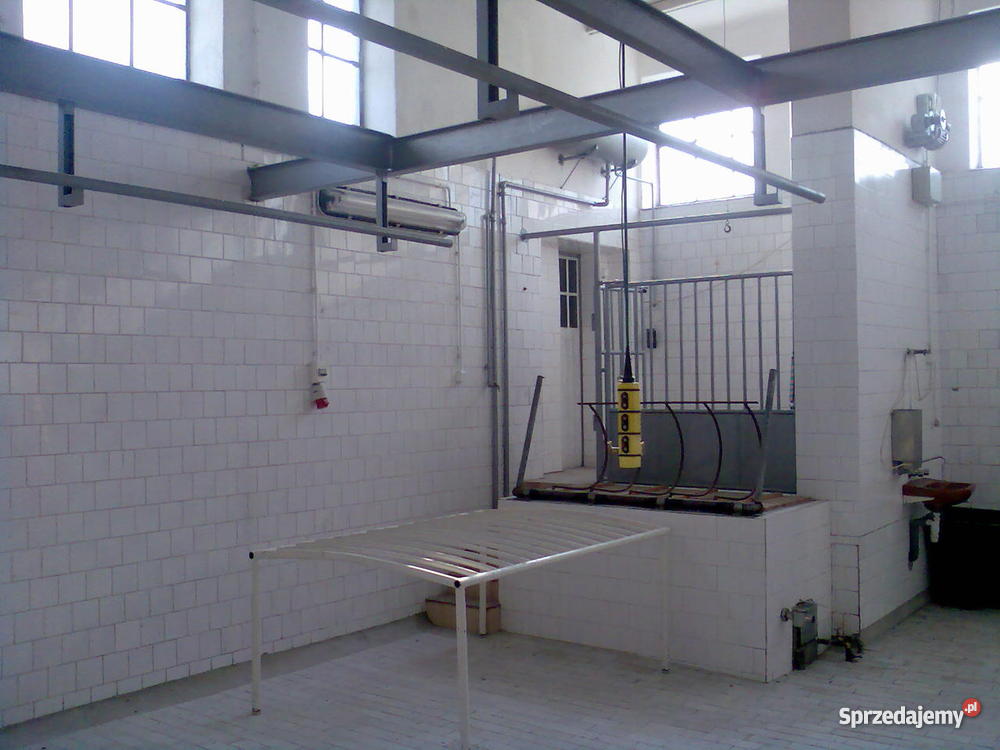 masarnię z ubojnią Lokale użytkowe