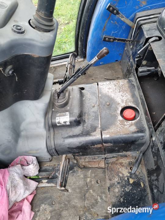 Holland mazowieckie Radom