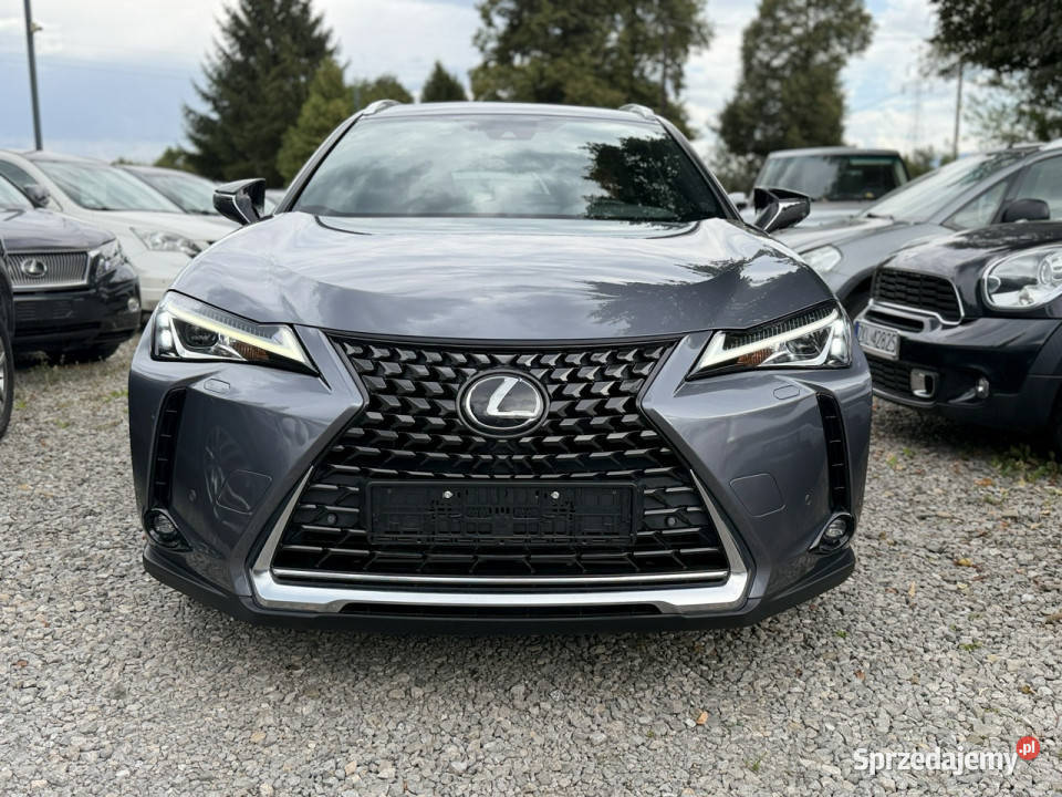Lexus UX 20 Hybrid Skóra Ful LED Premium Łodygowice