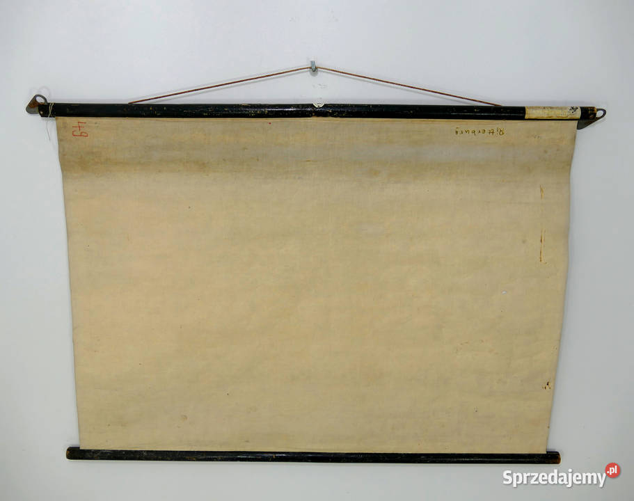 Mapa ścienna Niemcy lata 50 lubuskie Zielona Góra