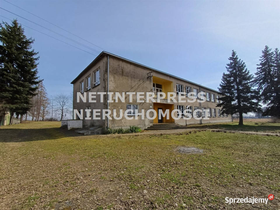 Lokal na sprzedaż 582 metry Domaszowice 582m2