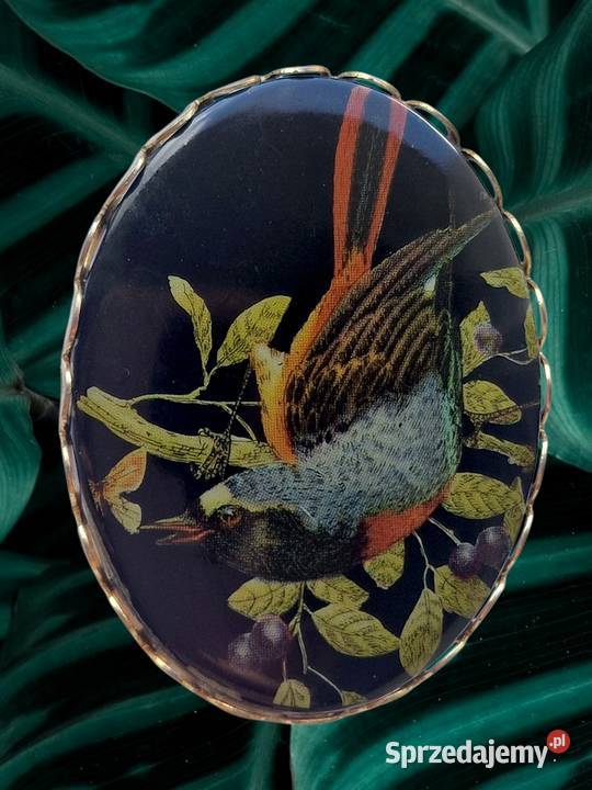 VINTAGE BROSZKA ZIMORODEK KINGFISHER CELULOID Częstochowa