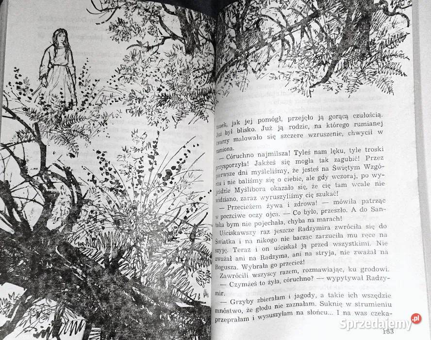 Lubuskie dziewanny Janina Brzostowska Chełm