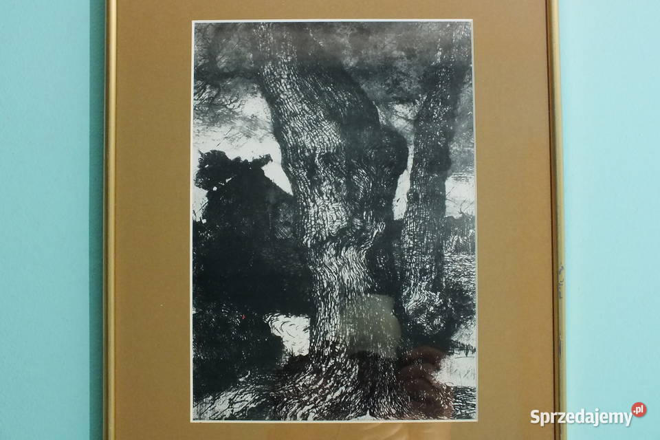 Dęby grafika sitodruk Lubin