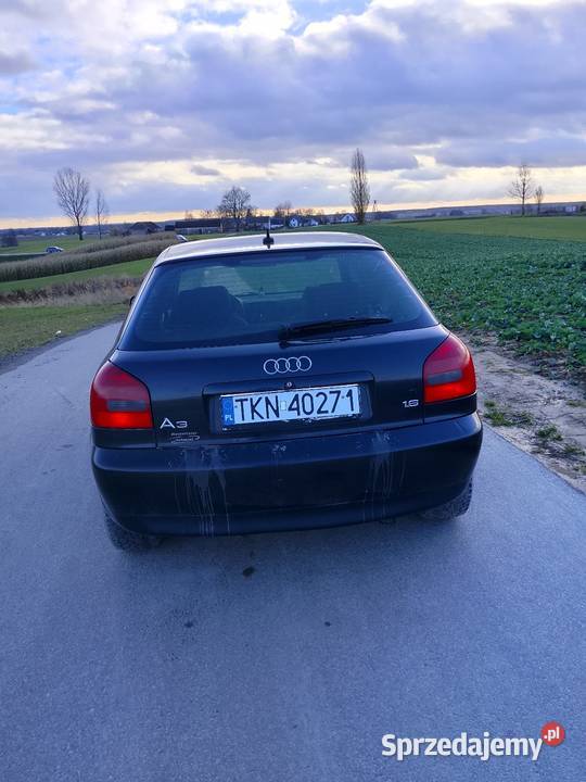 Audi a3 8l 1999 świętokrzyskie Baćkowice