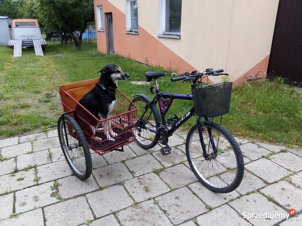 Rower z koszem wózkiem bocznym Wózek boczny Kosz Łódź