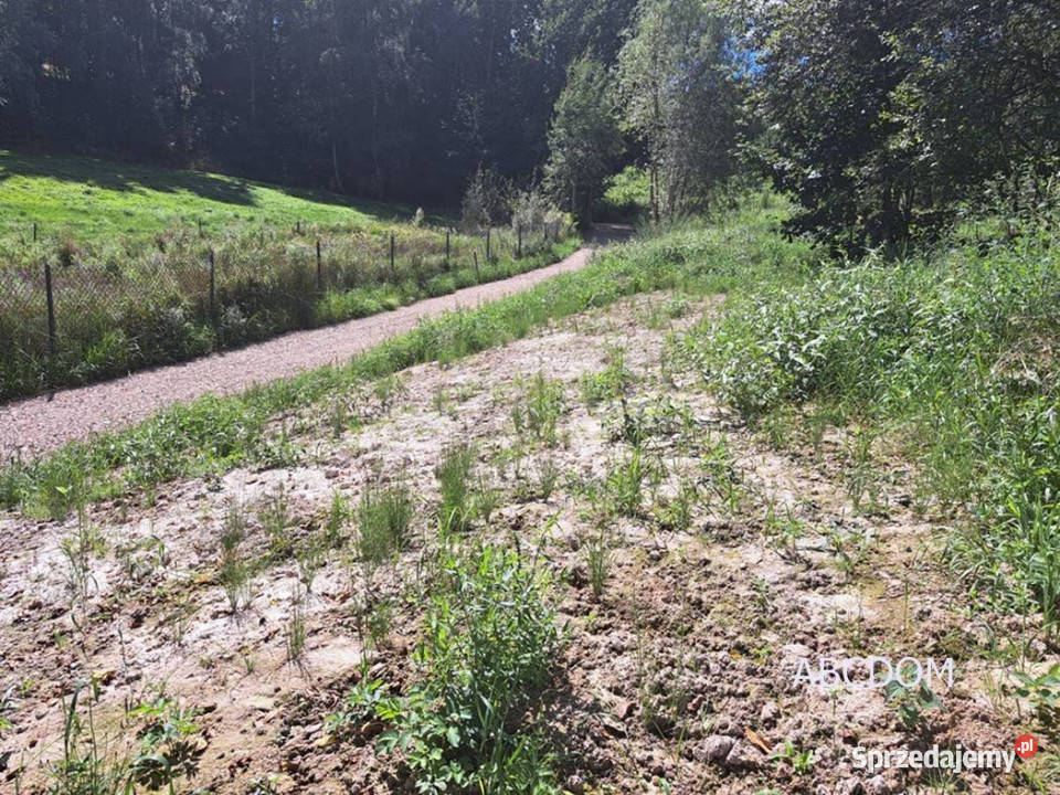 Nielepicedzialka budowlana w otoczeniu zieleni sprzedam