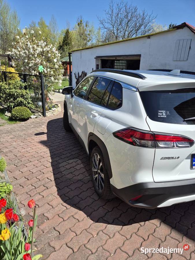 Toyota śląskie Zabrze