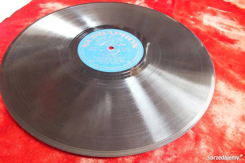 Płyta winylowa szelakowa niemiecka gruba i 1 płyta Płyty i kasety Żary