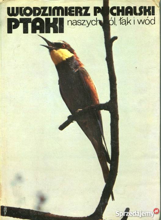Ptaki naszych pól łąk i wód Rok wydania 1979 Pozostałe Szczecin