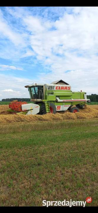 Claas Dominator 98 VX mazowieckie Tymianki-Bucie
