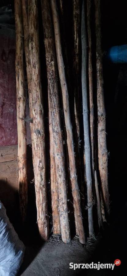 Pnie drewniane żerdzie okorowane Sędziszowa