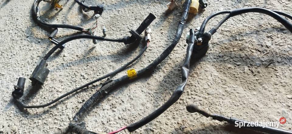 Oryginał moduł wiązka regulator przekaźnik Maruszów sprzedam