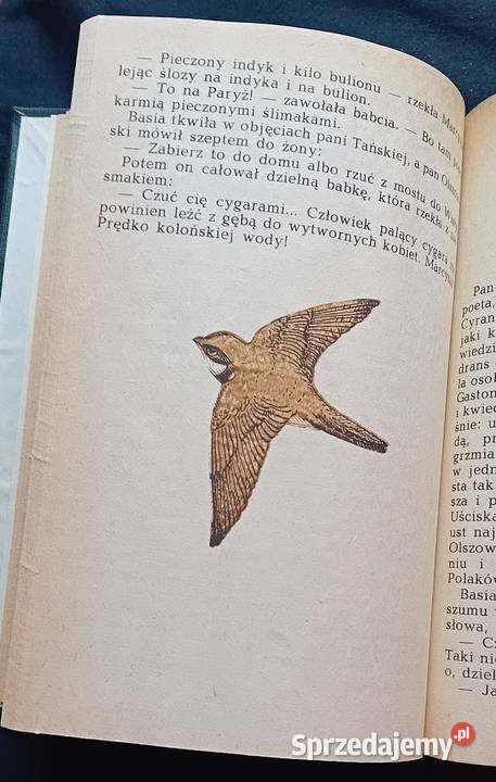 Kornel Makuszyński Awantura o Basię Iskry 1984 r Koźminek