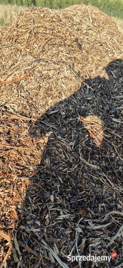 Zrębki mieszane biomasa