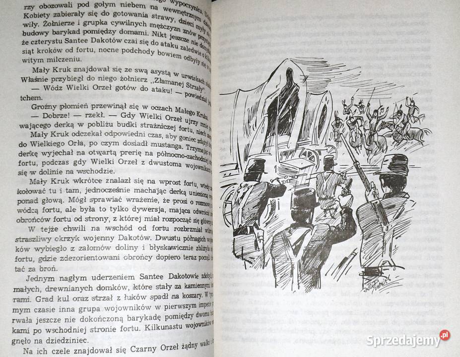 Złoto Gór Czarnych Ostatnia walka Dakotów Tom 3 Chełm