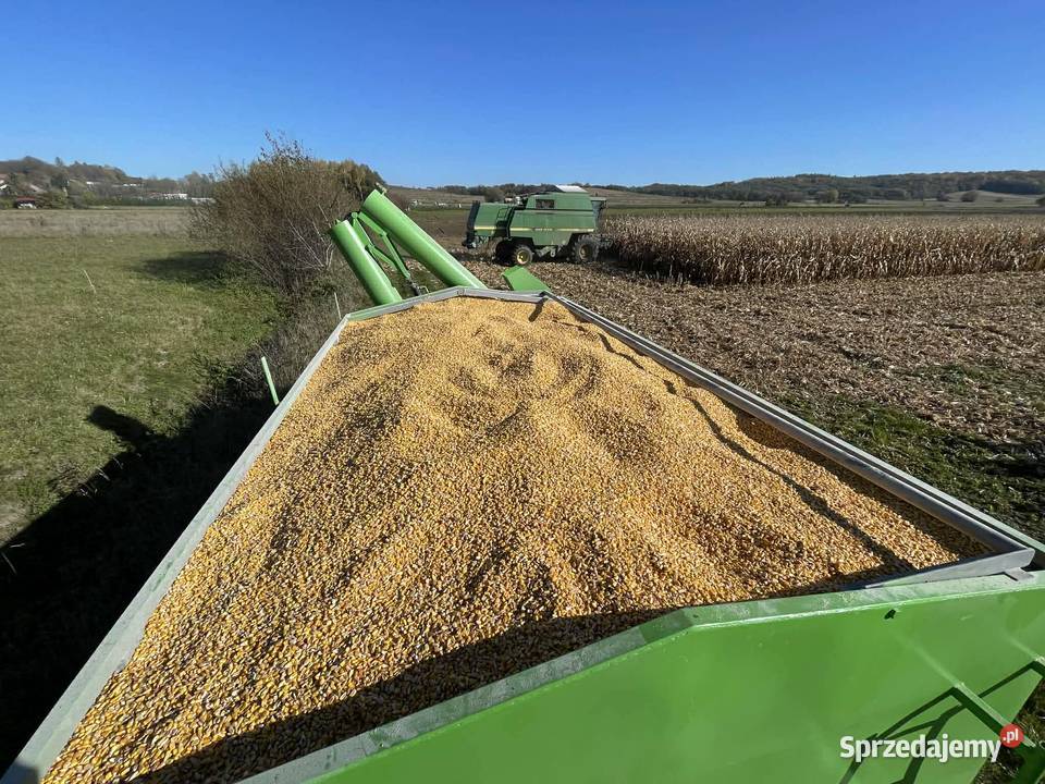 Przyczepa przeładunkowa nieuszkodzony Jaćmierz