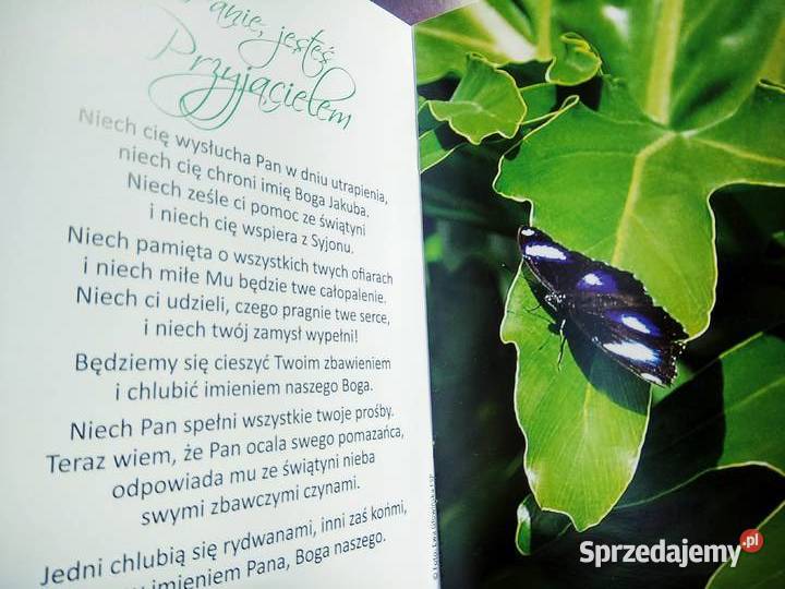 Psalmy przyjaźni unikatowe egzemplarze mazowieckie Warszawa