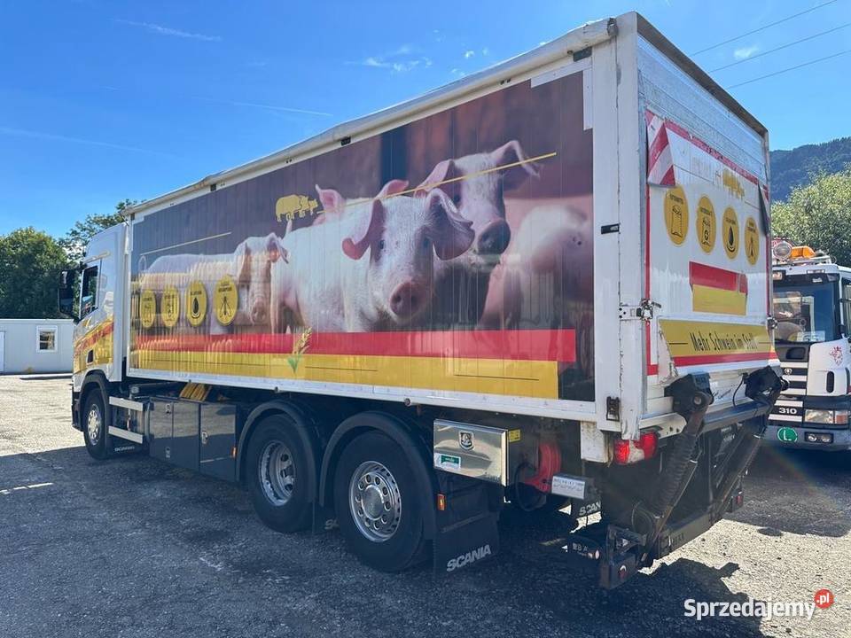 Z wydmuchem do śruty pelettu paszy Scania R 500 jedno łóżko Samochody ciężarowe Warszawa