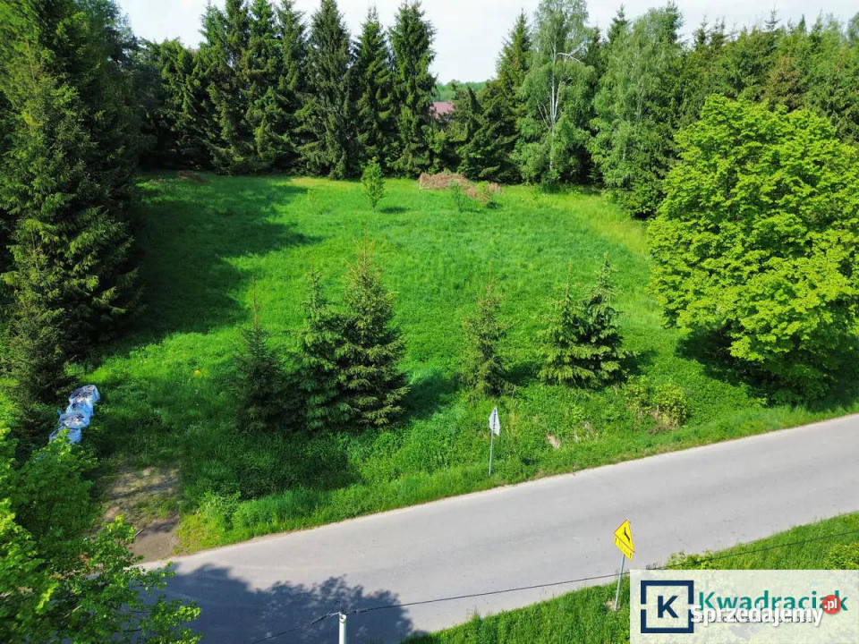 Grunt 4900m2 Zręcin Konopnickiej podkarpackie